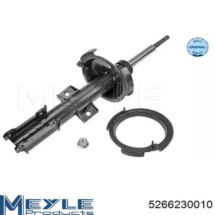 Amortyzator przedni Raiso RS314125 cena, od 78,87 USD