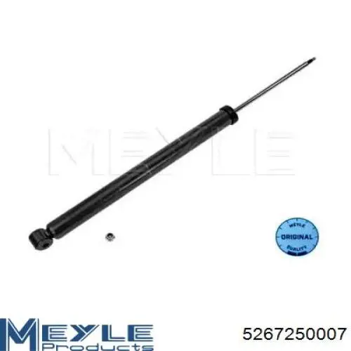 Amortyzator tylny RS313669 Raiso