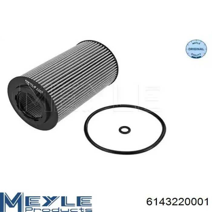 FOE153D1 Shafer Filtr oleju