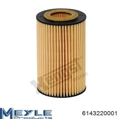 Filtr oleju Shafer FOE153D1 cena, od 6,48 USD