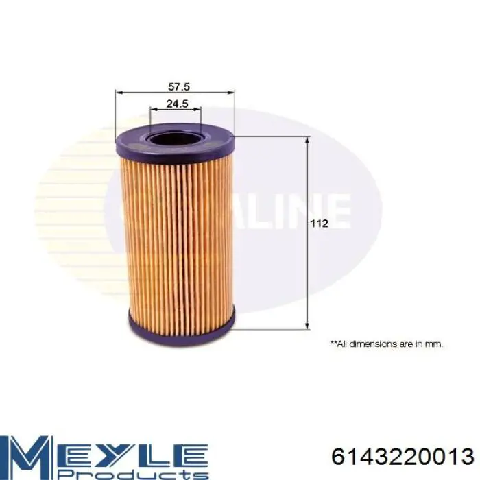 Do koszyka 6143220013 Meyle Filtr oleju
