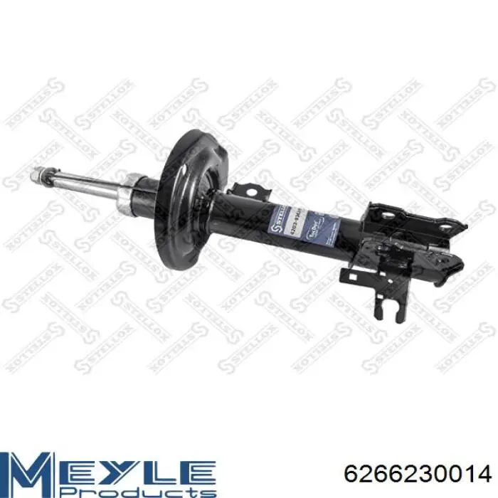 Amortyzator przedni lewy Raiso RS313480 cena, od 52,21 USD