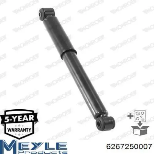 Amortyzator tylny RS317335 Raiso