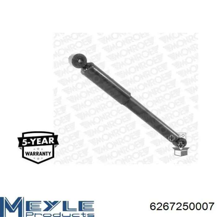 Amortyzator tylny RS317335 Raiso