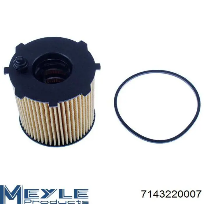 Do koszyka 00001109AY Peugeot/Citroen Filtr oleju