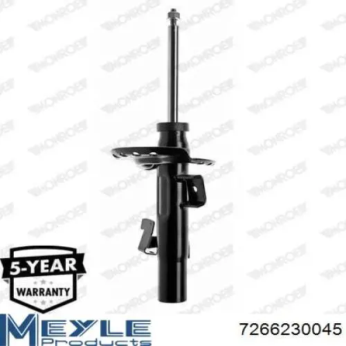 Amortyzator przedni lewy RS313748 Raiso