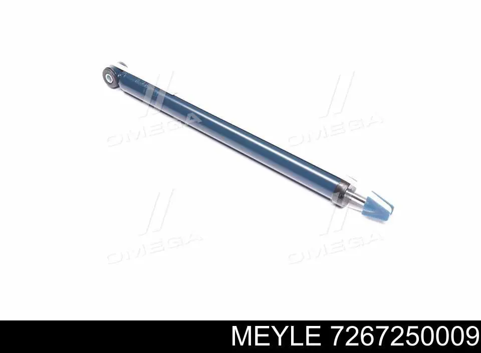 RS313291 Raiso Amortyzator tylny