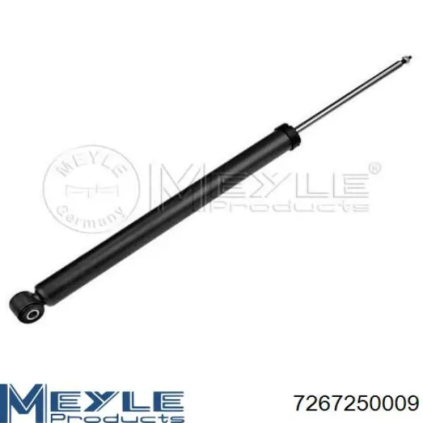 Do koszyka RS313291 Raiso Amortyzator tylny