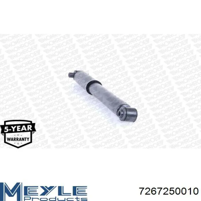 Do koszyka RS315303 Raiso Amortyzator tylny