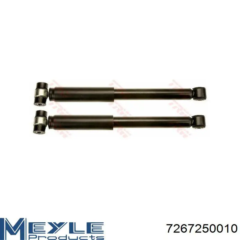 Amortyzator tylny Raiso RS315303 cena, od 32,95 USD