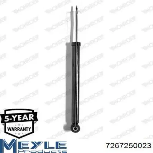 Amortyzator tylny Raiso RS315868 cena, od 34,45 USD