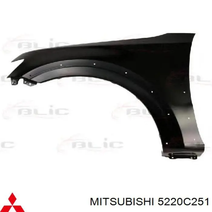 PMB10080CL Signeda Błotnik przedni lewy