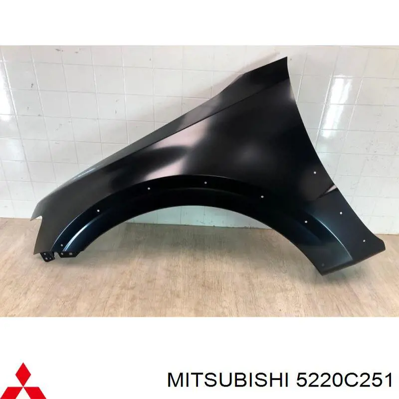 Błotnik przedni lewy PMB10080CL Signeda