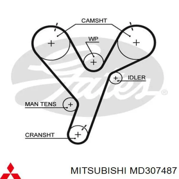 Do koszyka MD307487 Mitsubishi Pasek rozrządu