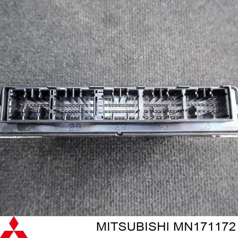Sterownik silnika do Mitsubishi Grandis  NAW