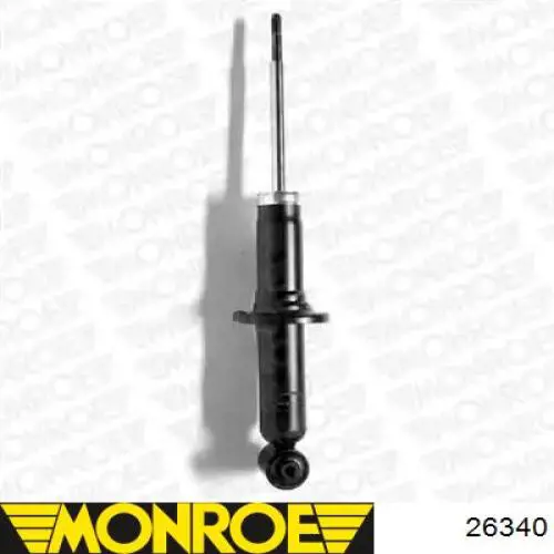 Do koszyka RS556281 Raiso Amortyzator tylny