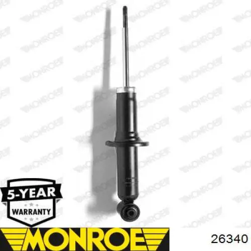 Amortyzator tylny Raiso RS556281 cena, od 47,57 USD
