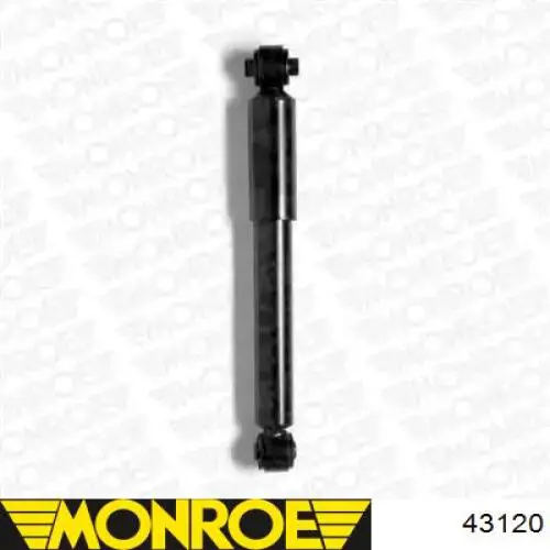 Do koszyka RS317341 Raiso Amortyzator tylny