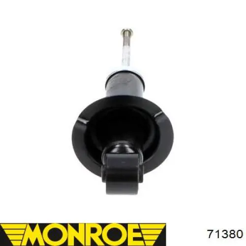 Amortyzator tylny RS316880 Raiso
