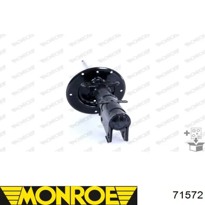 Amortyzator przedni RS310202 Raiso