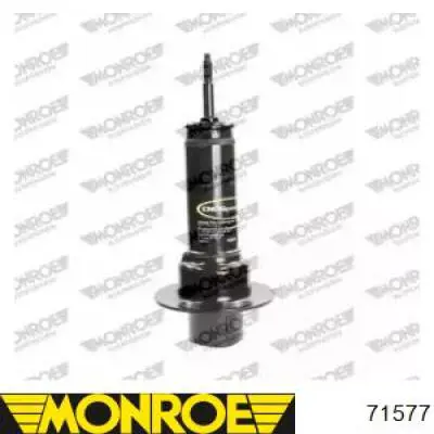 Amortyzator przedni Raiso RS331017 cena, od 43,87 USD