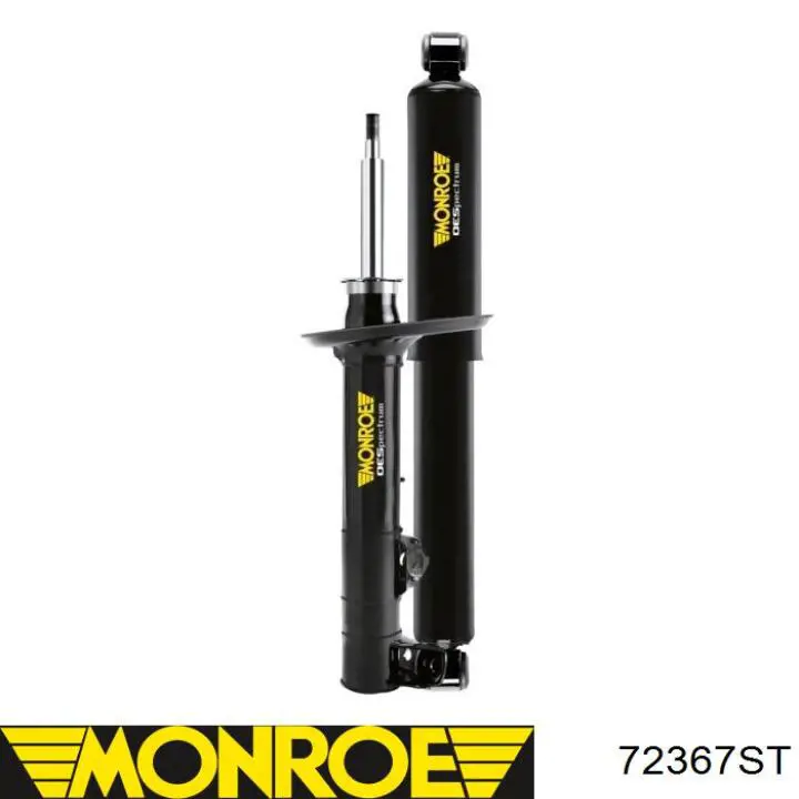 RS284020 Raiso Amortyzator przedni prawy