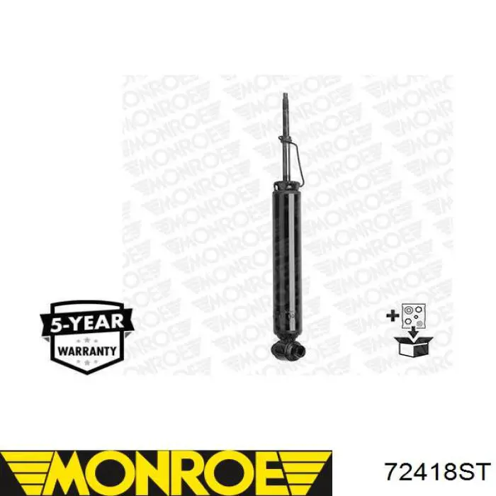 Amortyzator przedni RS317610 Raiso