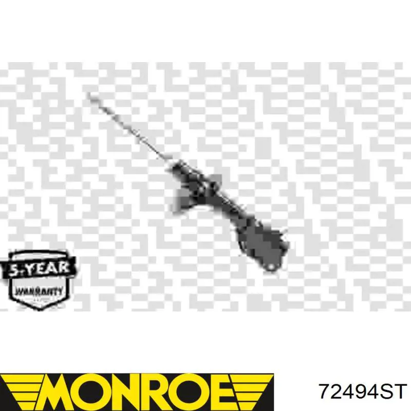 Amortyzator przedni lewy Raiso RS317306 cena, od 62,70 USD