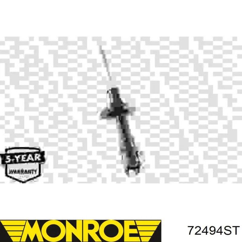 Do koszyka RS317306 Raiso Amortyzator przedni lewy