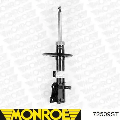Amortyzator przedni prawy Raiso RS315642 cena, od 58,28 USD