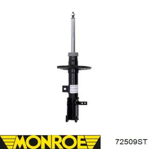 Amortyzator przedni prawy RS315642 Raiso