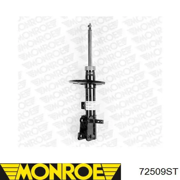 RS315642 Raiso Amortyzator przedni prawy
