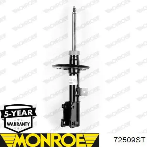 Amortyzator przedni prawy Raiso RS315642