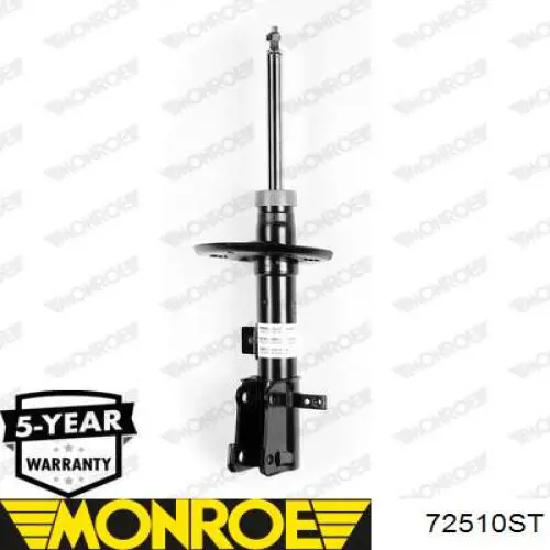 Amortyzator przedni lewy RS315641 Raiso