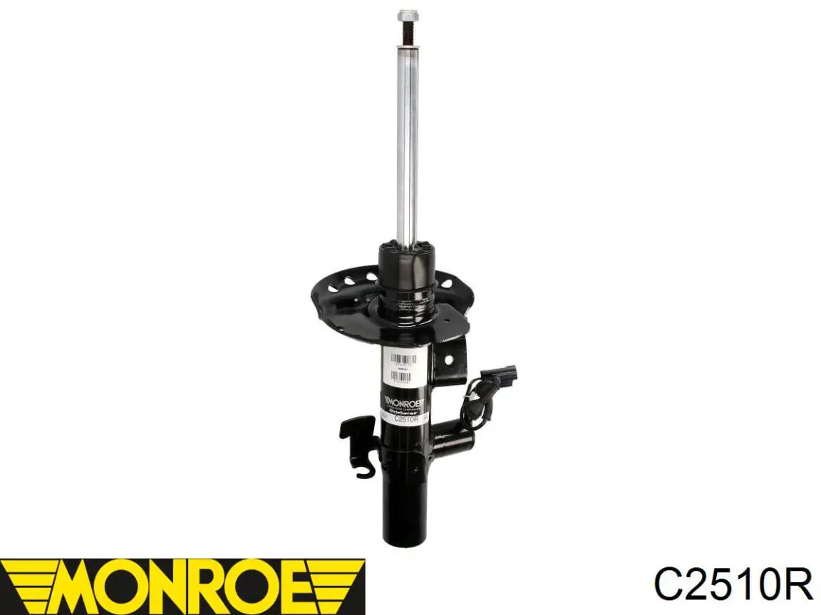 Amortyzator przedni prawy RS313749 Raiso
