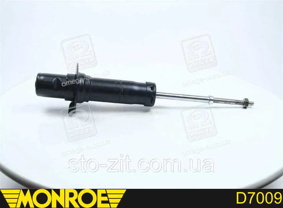 Amortyzator przedni RS317613 Raiso