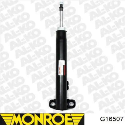 Do koszyka RS115070 Raiso Amortyzator przedni