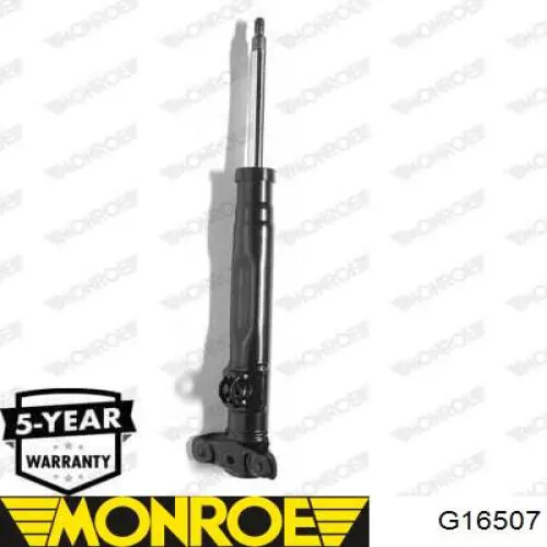 Do koszyka RS115070 Raiso Amortyzator przedni