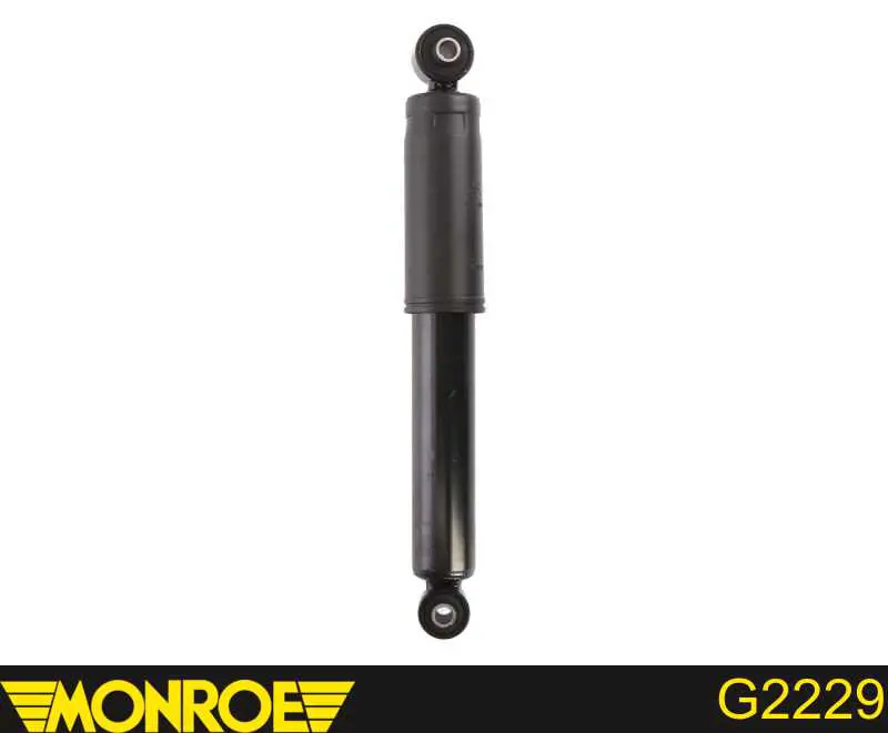 Amortyzator tylny RS318702 Raiso