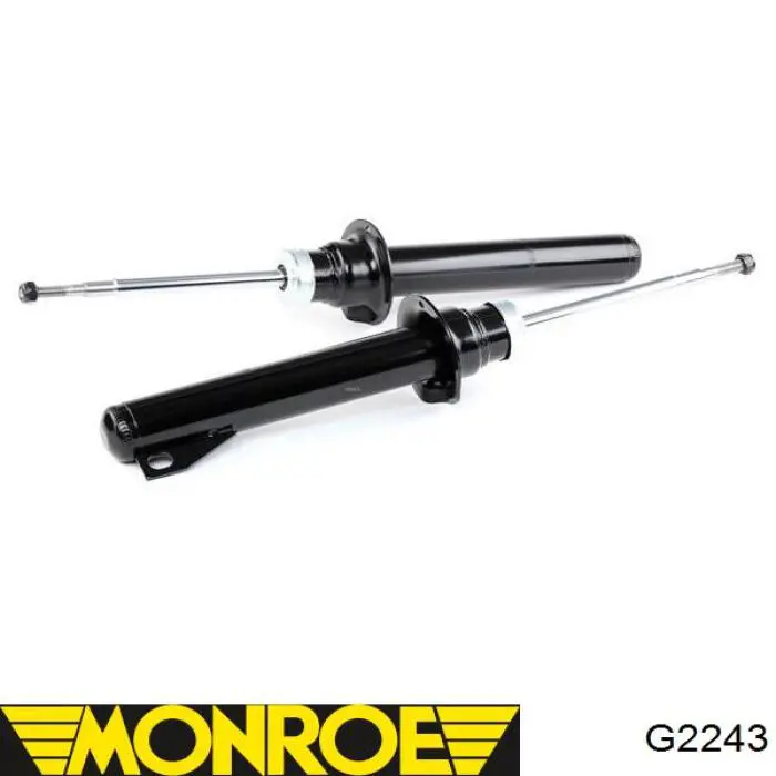 Amortyzator przedni Monroe G2243 cena, od 51,65 USD