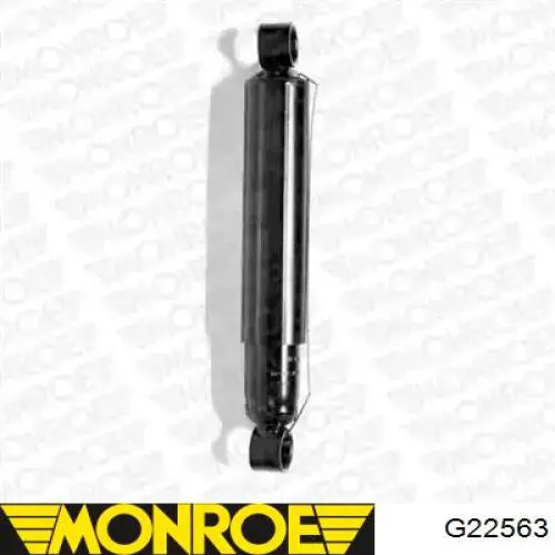 Amortyzator tylny Raiso RS170578 cena, od 23,49 USD