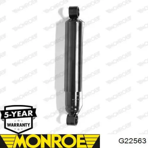 Amortyzator tylny RS170578 Raiso