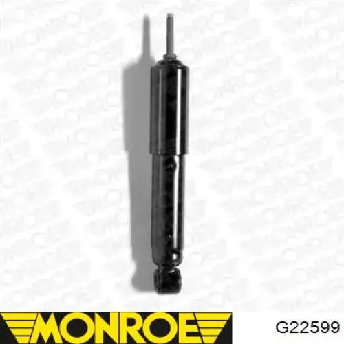 Amortyzator przedni Raiso RS170579 cena, od 23,23 USD