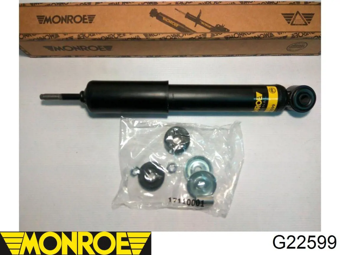 Do koszyka RS170579 Raiso Amortyzator przedni