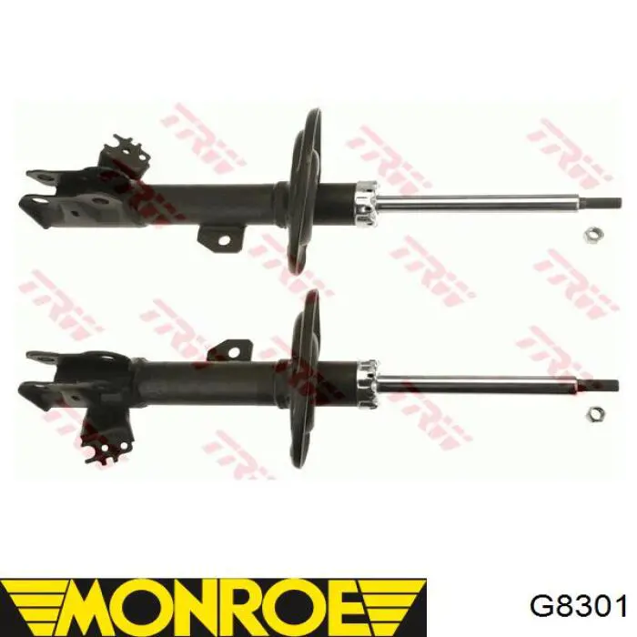 Amortyzator przedni prawy Raiso RS339351 cena, od 72,97 USD