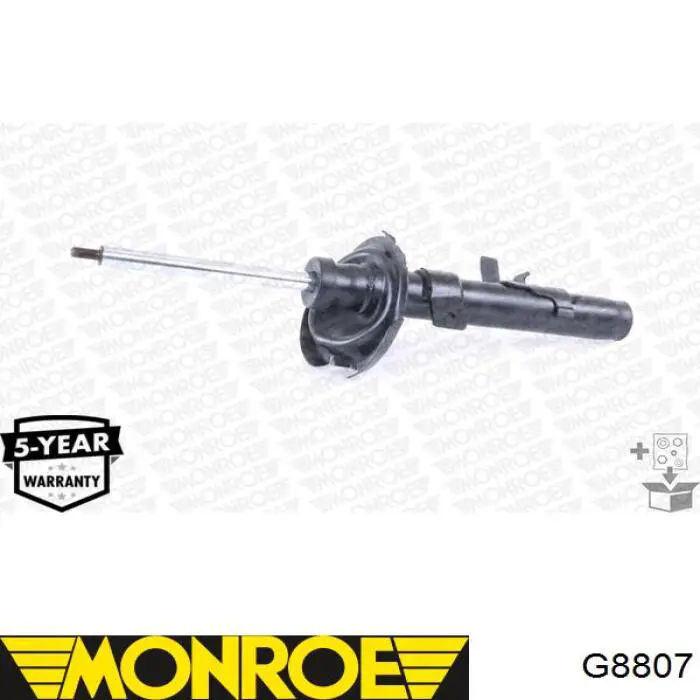 Amortyzator przedni RS317368 Raiso