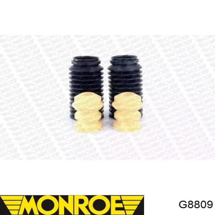 Do koszyka RS298959 Raiso Amortyzator przedni prawy