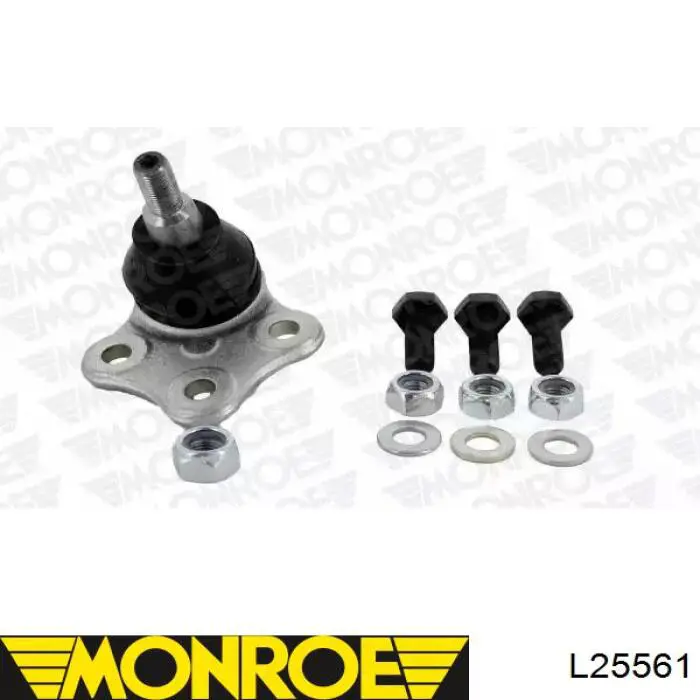 Sworzeń wahacza dolny Monroe L25561 cena, od 15,32 USD