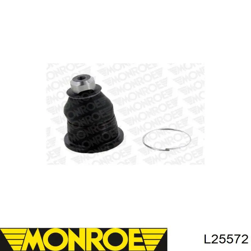 Sworzeń wahacza dolny Monroe L25572 cena, od 12,78 USD