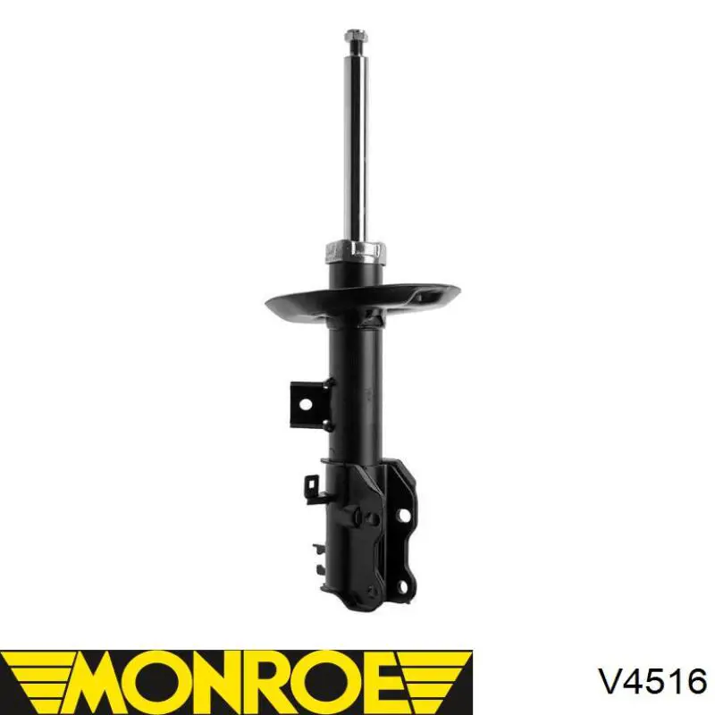 Amortyzator przedni Raiso RS314885 cena, od 73,48 USD